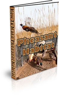 The How To Make A Pheasant Habitat eBook
