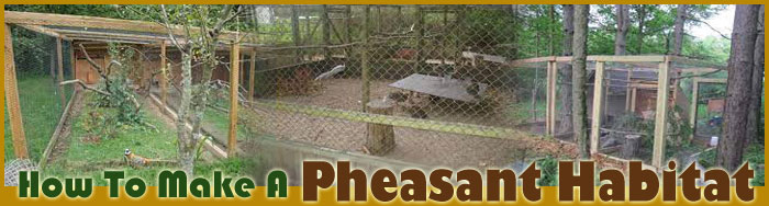 How To Make A Pheasant Habitat