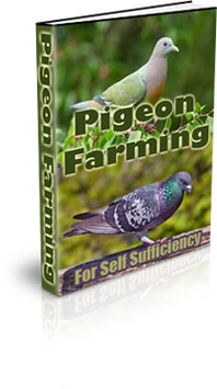 The Pigeon Farming For Self Sufficiency eBook