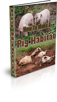 The How To Make A Pig Habitat eBook