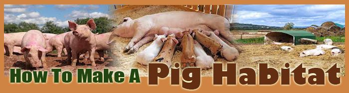 How To Make A Pig Habitat