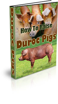 The How To Raise Duroc Pigs eBook