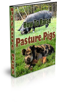 The How To Raise Idaho Pasture Pigs eBook
