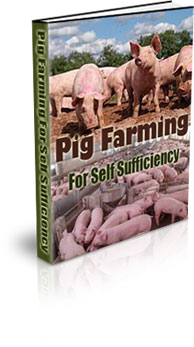The Pig Farming For Self Sufficiency eBook