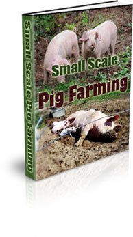 The Small Scale Pig Farming eBook