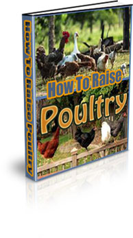 The How To Raise Poultry Ebook
