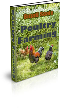 The How To Raise Poultry Ebook