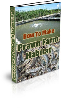 The How To Make A Prawn Farm Habitat eBook