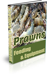 Prawn Farming Requirements