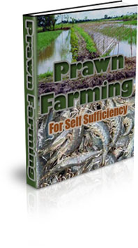 The Prawn Farming For Self Sufficiency eBook