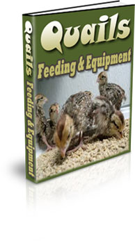 How To Create A Quail Habitat