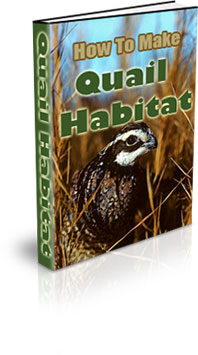 The How To Make A Quail Habitat eBook