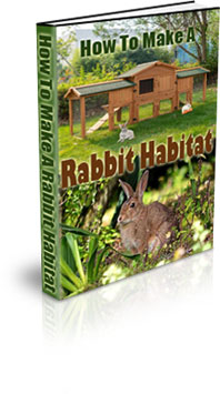 The How To Make A Rabbit Habitat eBook