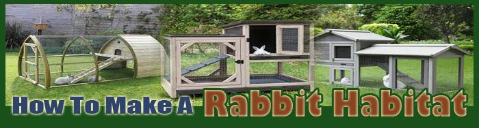 How To Make A Rabbit Habitat