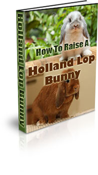 The How To Raise A Holland Lop Bunny eBook