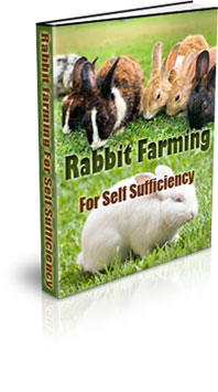 The Rabbit Farming For Self Sufficiency eBook