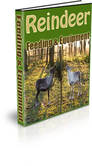 How Many Acres Do Reindeer Need