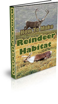 The How To Make A Reindeer Habitat eBook