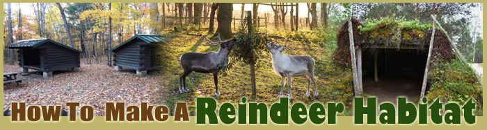 How To Make A Reindeer Habitat