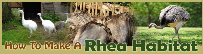 How To Make A Rhea Habitat