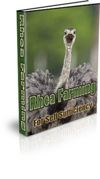The Rhea Farming For Self Sufficiency eBook