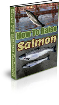 The How To Raise Salmon eBook