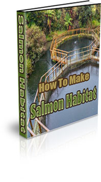 The How To Make A Salmon Habitat eBook