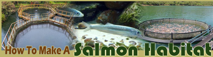 How To Make A Salmon Habitat