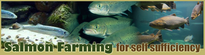 Salmon Farming For Self Sufficiency