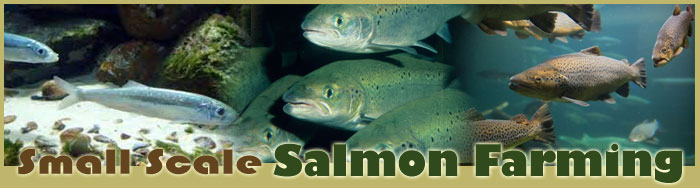 Small Scale Salmon Farming