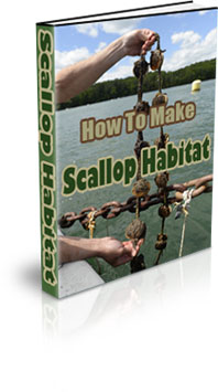 The How To Make A Scallop Habitat eBook
