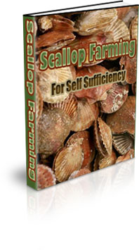 The Scallop Farming For Self Sufficiency eBook