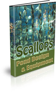 How To Farm Scallops