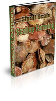 The Small Scale Scallop Farming eBook