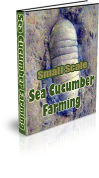 The Small Scale Sea Cucumber Farming eBook