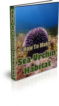 The How To Raise Sea Urchin eBook