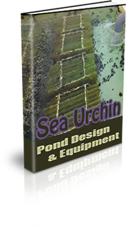 How To Start Up Sea Urchin Farming