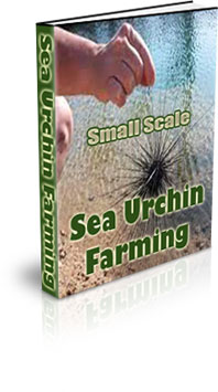 The How To Raise Sea Urchin eBook