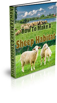 The How To Make A Sheep Habitat eBook