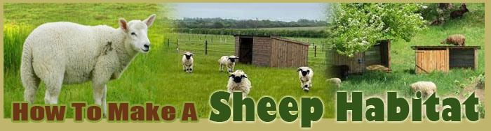 How To Make A Sheep Habitat