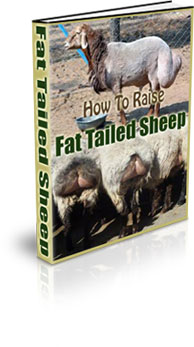 The How To Raise Fat Tailed Sheep eBook