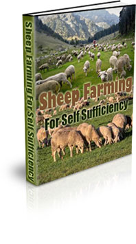 The Sheep Farming For Self Sufficiency eBook