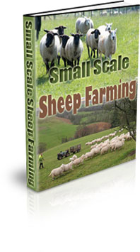 The Small Scale Sheep Farming eBook
