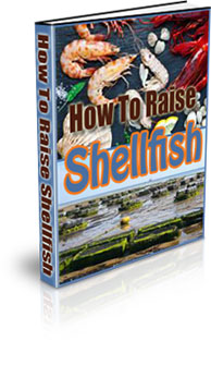 The How To Raise Shellfish Ebook