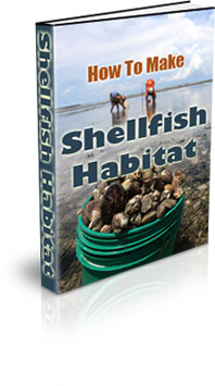 The How To Make A Shellfish Habitat Ebook