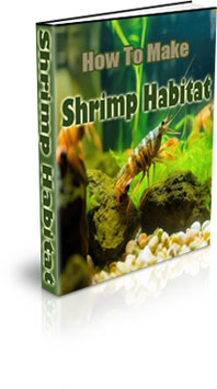 The How To Make A Shrimp Habitat eBook