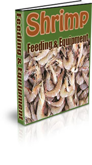 Breeding Shrimp For Food
