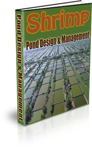 How To Make A Shrimp Farm At Home