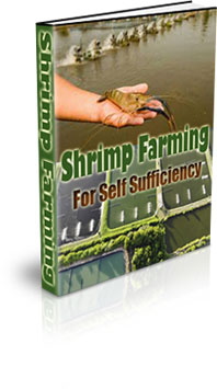 The Shrimp Farming For Self Sufficiency eBook