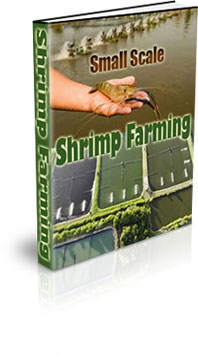 The Small Scale Shrimp Farming eBook